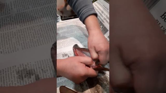 Как быстро и легко чистить окуня смотреть онлайн