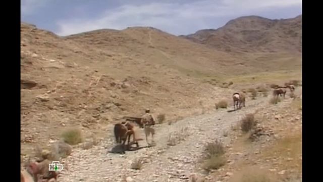 Из огня да в полымя. Сергей Гвоздика. смотреть онлайн