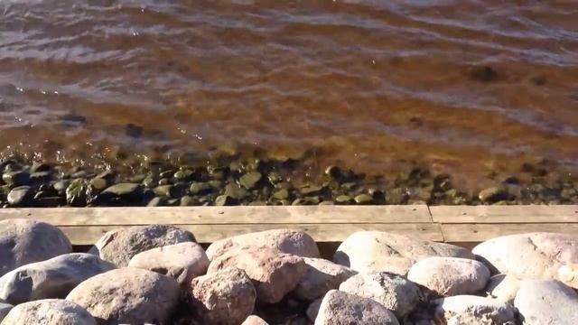 Вода Петроградка смотреть онлайн