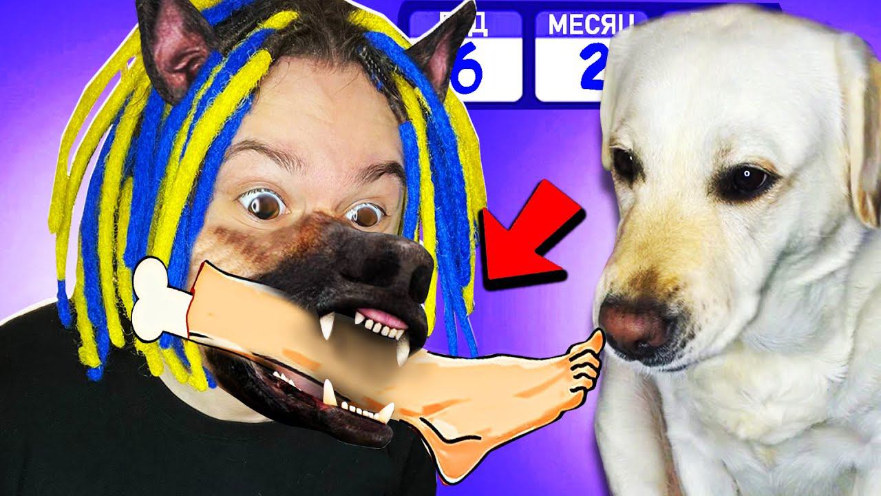 ЭТОТ СИМУЛЯТОР СОБАКИ СЛИШКОМ НАСТОЯЩИЙ!! (Dog Life Simulator)