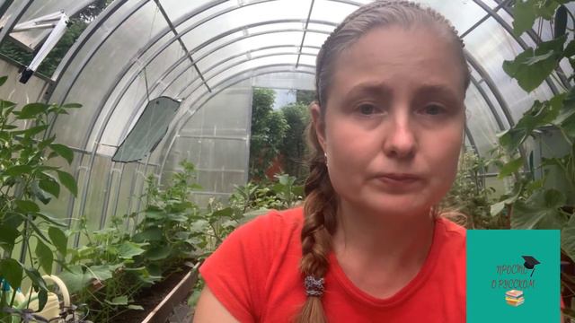 Как возникло выражение «галопом по Европам»? смотреть онлайн