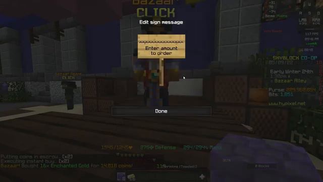 HYPIXEL SKYBLOCK MONEY MAKING METHOD I SCRIPT I BAZAAR FLIPPING MACRO I 30m H