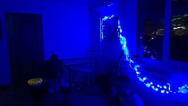 Суточный Киртан, ночь смотреть онлайн