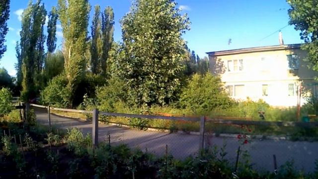 Птенец выпал из гнезда Три Ночи жил у нас дома Днём его родители прилетали кормили смотреть онлайн