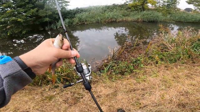 Риболов на костур и щука в Англия. #Duo #tetra works react 65 смотреть онлайн