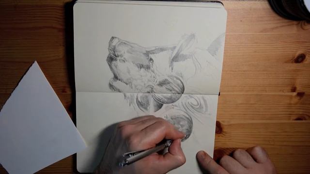 BEAR SKETCH | MOLESKINE MONDAY смотреть онлайн