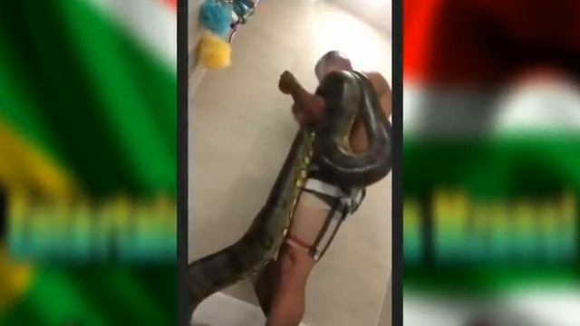Mzansi slay Queen who leaked Her blesser's voodoo snake video WANTED! смотреть онлайн