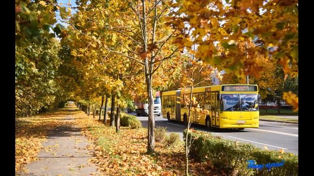 Аудиореклама про безопасность от гимназистов зазвучала в барановичских городских автобусах смотреть онлайн