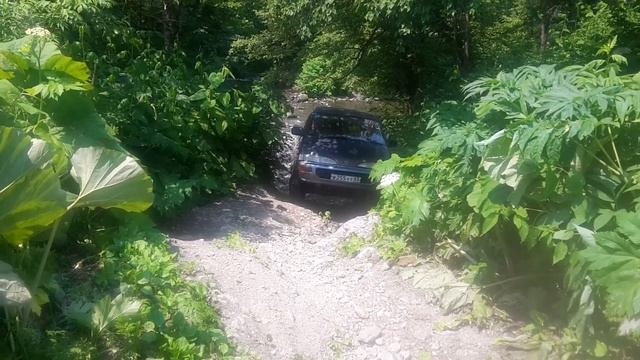20170706 литайс по лесу о.Сахалин смотреть онлайн