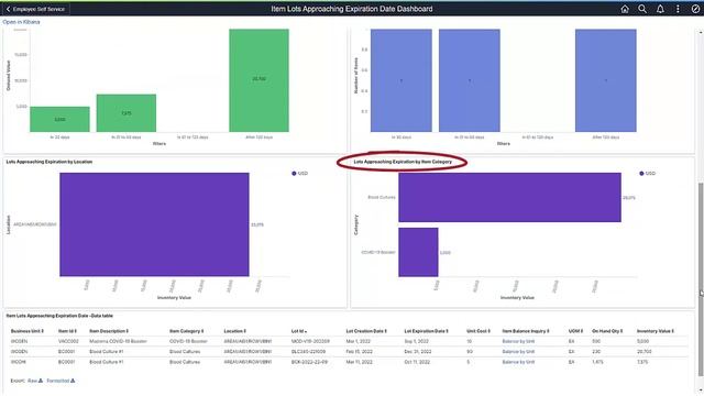 PeopleSoft Inventory Lot Expiration Analytic Dashboard смотреть онлайн