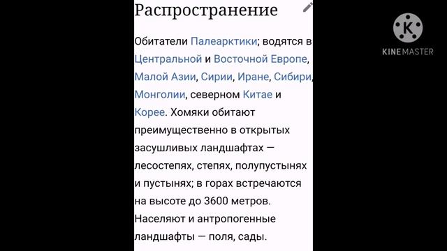 проект по окружающему миру про хомяка: зона степей под музыку
