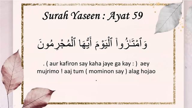 Fahm-e-Quran day # 113 Surah Yaseen~Ayat 56- 67 By Ayesha Fatima смотреть онлайн