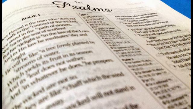 Mike Turany - Psalm 9-11 смотреть онлайн