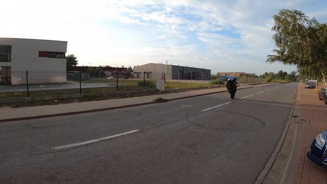 Delikatne gumowanie wheelie honda cbr 600 f4i sport смотреть онлайн