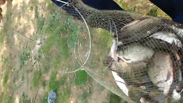 рыбалка в бундино 2 смотреть онлайн