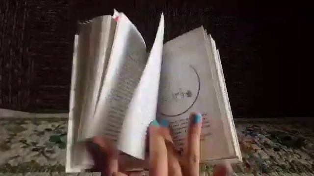 Обзор собачьей книги/ Собачий Энштейн/ мальтезе/ Кристина&Марчик смотреть онлайн