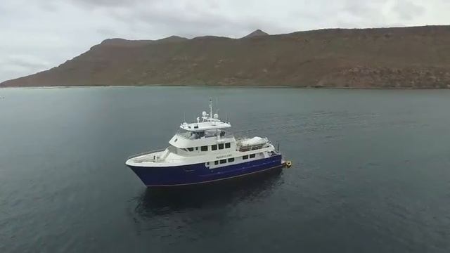 SOLD Video #3 Drone video Allseas 92 in Sea of Cortez, MX ,For Sale Randall Burg, CENTRAL AGENT смотреть онлайн