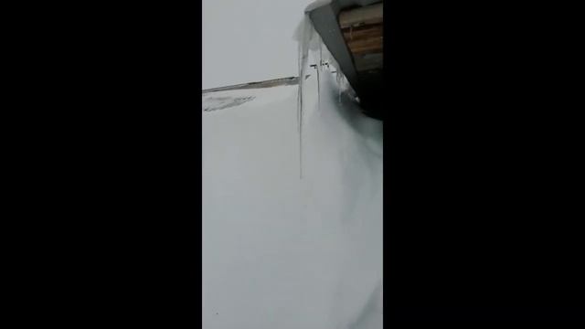 Змеиногорский район