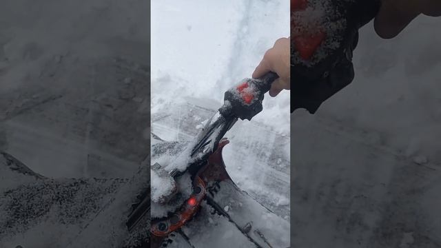 Муравей в мороз смотреть онлайн