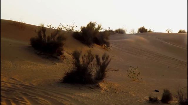 Arabian desert adventure смотреть онлайн