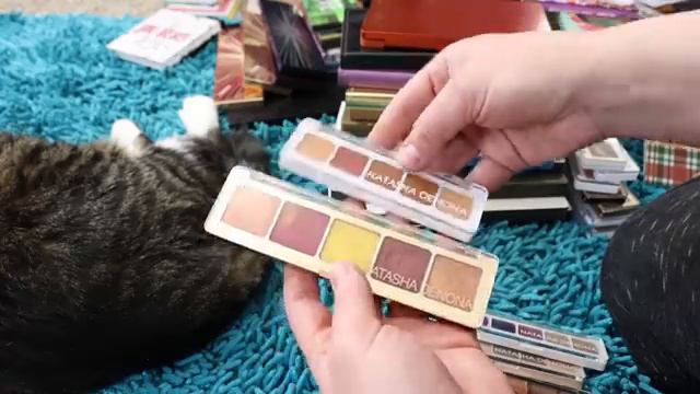 Opening & Organizing All of 'The Top Shelf' Eyeshadow Palettes смотреть онлайн