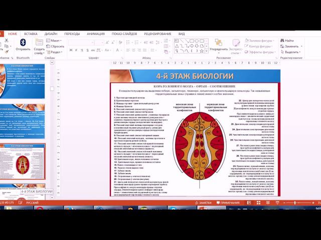 Семинар психобиотерапия 4 день 1-2 смотреть онлайн