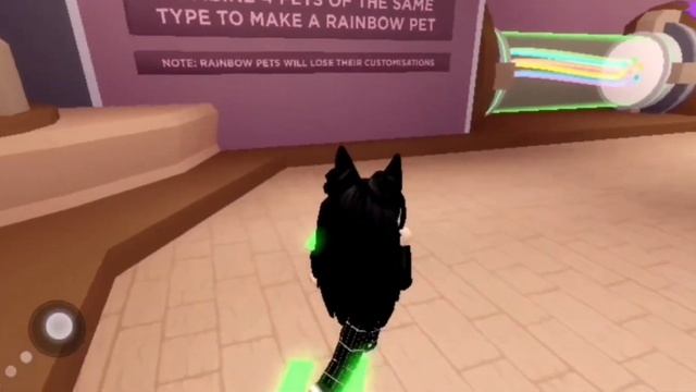 ОБЗОР PET SHOP: ROBLOX CLUB! КАК ЗДЕЛАТЬ ПЕТА НЕОН?ОТВЕТ ЗДЕСЬ;) смотреть онлайн
