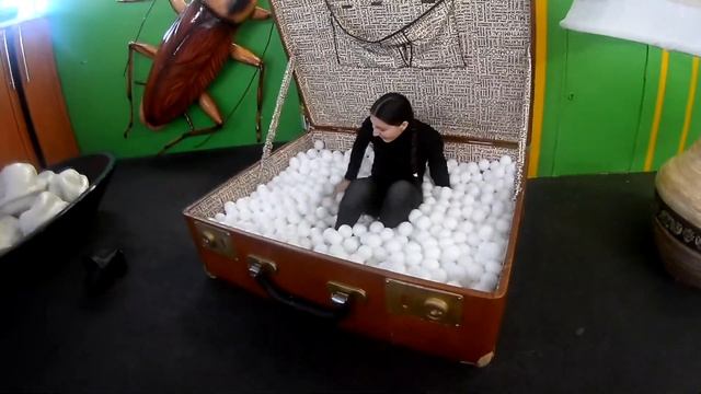 Челябинск|Аттракцион на Кировке. Дом Вверх Дном|Если бы взрослые вели себя, как дети. смотреть онлайн