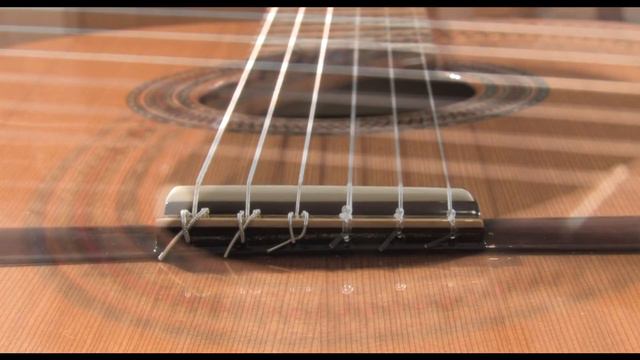 Gap Guitars - Paco Castillo 203 смотреть онлайн