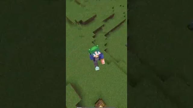 Какая самая редкая вещь в Майнкрафте?? #shorts #minecraft #майнкрафт смотреть онлайн