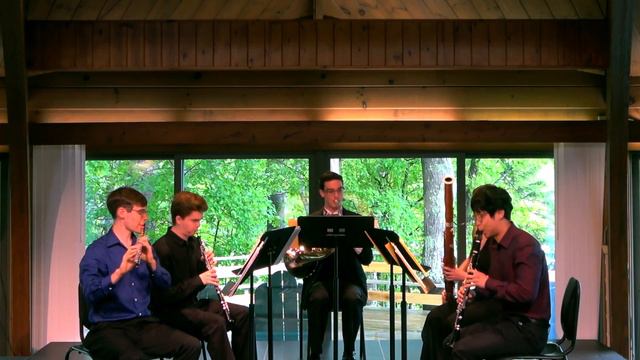 Haas - Quintet for Winds, Op. 10 / Damase - Dix-Sept Variations смотреть онлайн