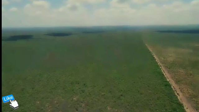 9300 HEC Fazenda de soja com outorgas de pivô LUIS EDUARDO Magalhães OESTE DA BAHIA PERMUTA TROCA смотреть онлайн