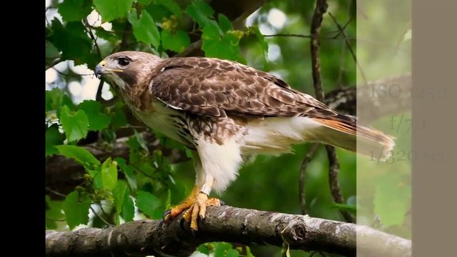 2021 With The Olympus 75 300mm Ii Lens