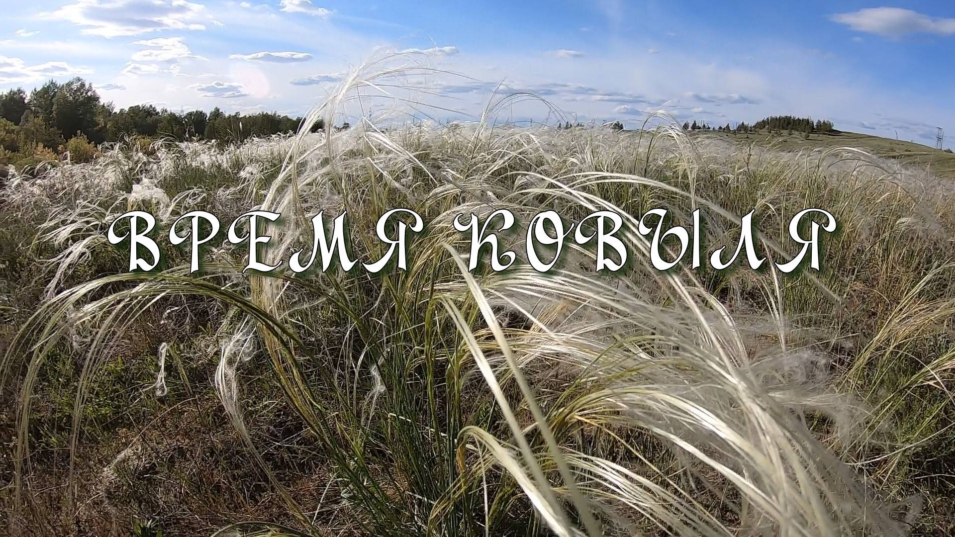 Время ковыля смотреть онлайн