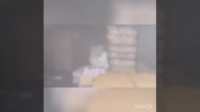 Как защитить суш от восковой моли со 100% гарантией. смотреть онлайн