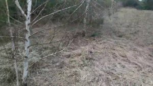 Я с другом, нашел рога лося. Апрель 2019. Супер день.