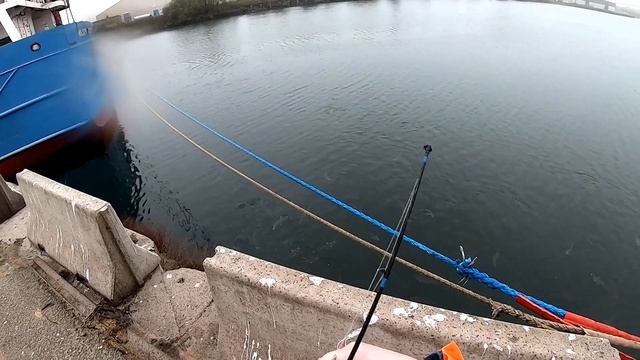 Не стал ловить непонятную рыбу у причала | Брюгге | Бельгия смотреть онлайн