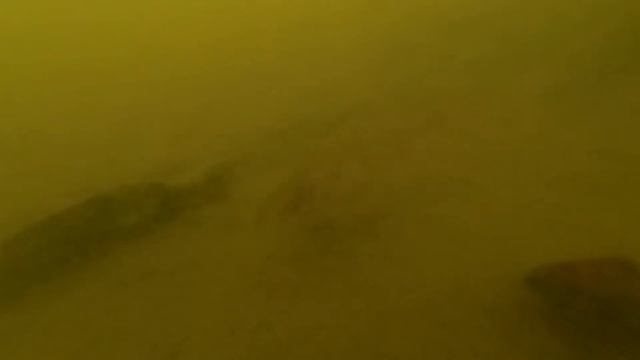 рыбалка зимой в плёночном пруду смотреть онлайн