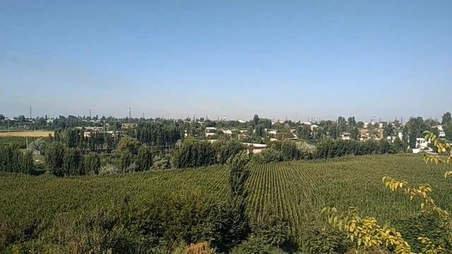 Фергана сегодня. Киргили Пеликаны смотреть онлайн