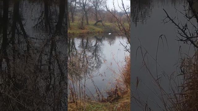 3 ноября 2021 г. смотреть онлайн