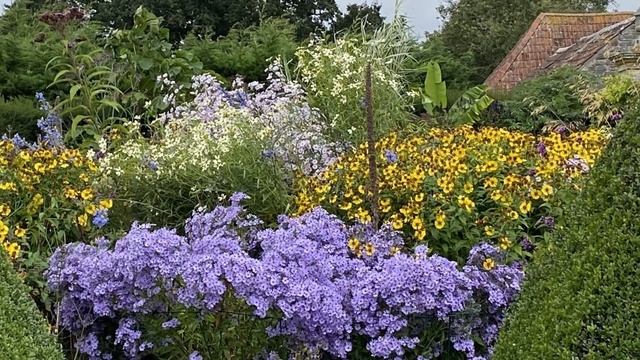 Vlog 180 - Самые красивые сады Сомерсета в октябре смотреть онлайн