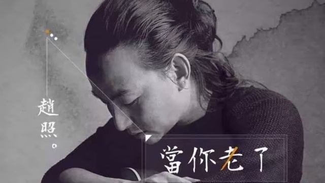 当你老了 (When You're Older) - 赵照 Harmonica cover смотреть онлайн
