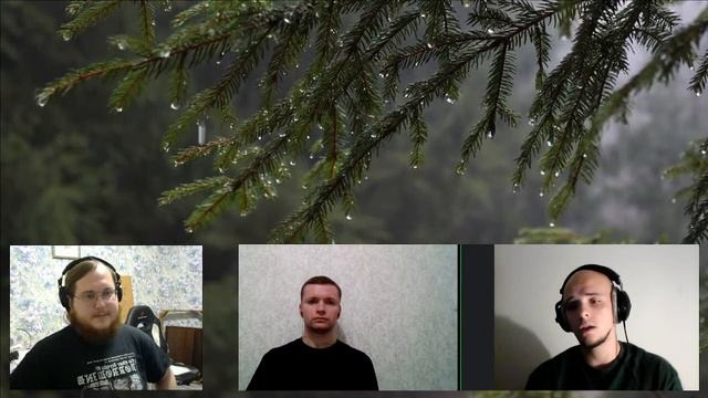 Грибные споры |8| Гость: Виталий Колтыгин (Vitaliy Koltygin) смотреть онлайн