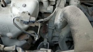 Где найти VIN вин и номер ДВС в Nissan Almera Classic? (ОСА)