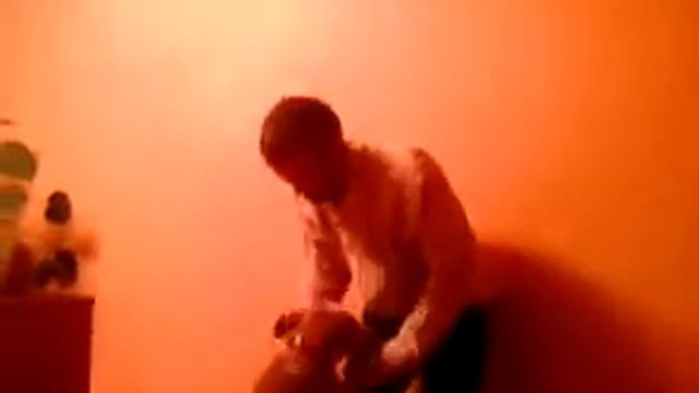 стафф терьеры смотреть онлайн