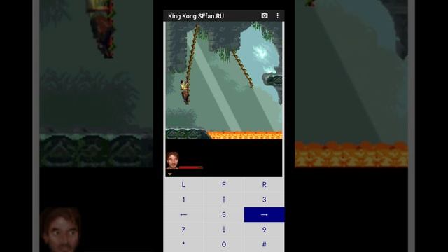 KING KONG (JAVA) - ПОЛНОЕ ПРОХОЖДЕНИЕ! смотреть онлайн