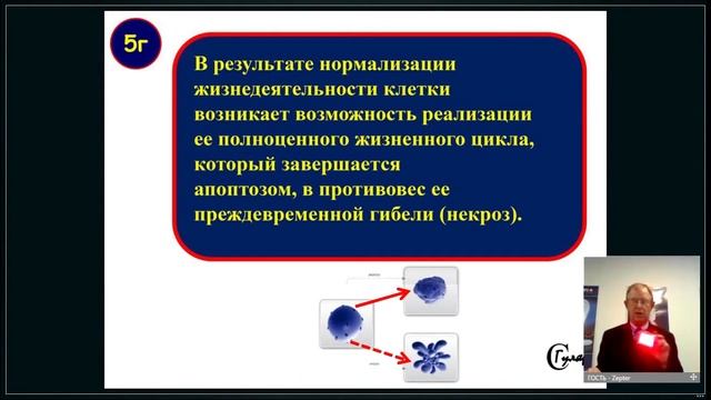 Zepter Latvia: Презентация аппарата Medolight от Zepter. (Выступает Sergiy GULYAR, MD,PhD,DSci,Prof