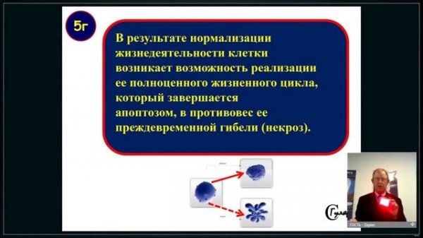 Zepter Latvia: Презентация аппарата Medolight от Zepter. (Выступает Sergiy GULYAR, MD,PhD,DSci,Prof