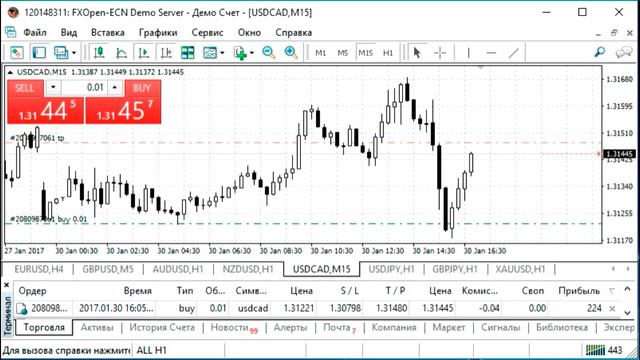 Торговля FOREX(Форекс) интрадей. Запись сделки по валютной паре USD/CAD 30.01.17 смотреть онлайн
