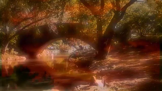 Adagio Secret Garden смотреть онлайн